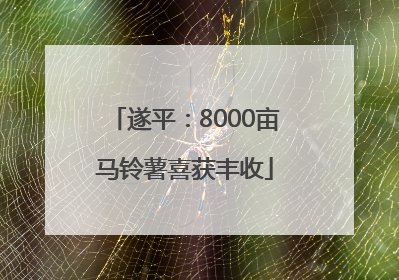 遂平：8000亩马铃薯喜获丰收