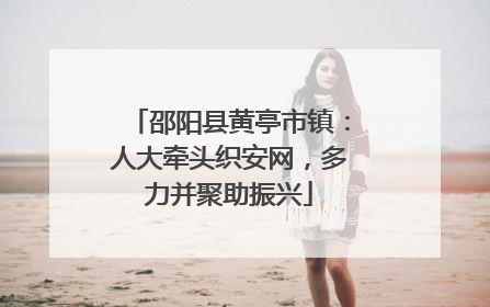 邵阳县黄亭市镇：人大牵头织安网，多力并聚助振兴