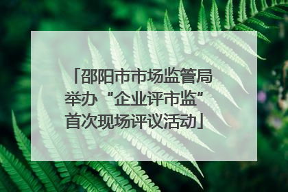 邵阳市市场监管局举办“企业评市监”首次现场评议活动