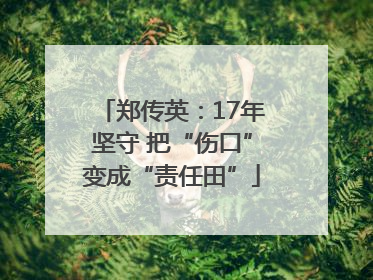 郑传英：17年坚守 把“伤口”变成“责任田”