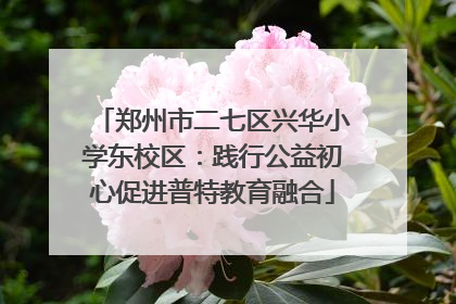 郑州市二七区兴华小学东校区：践行公益初心促进普特教育融合