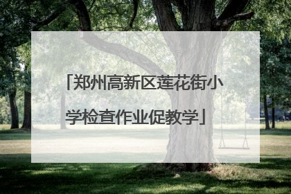 郑州高新区莲花街小学检查作业促教学