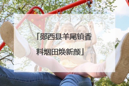 郧西县羊尾镇香料烟田焕新颜