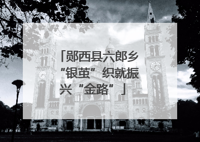 郧西县六郎乡“银茧”织就振兴“金路”