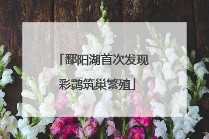 鄱阳湖首次发现彩鹮筑巢繁殖
