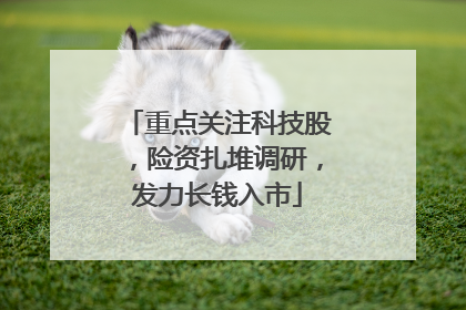 重点关注科技股，险资扎堆调研，发力长钱入市
