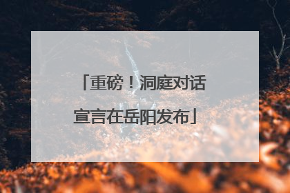 重磅！洞庭对话宣言在岳阳发布