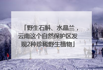 野生石斛、水晶兰，云南这个自然保护区发现2种珍稀野生植物