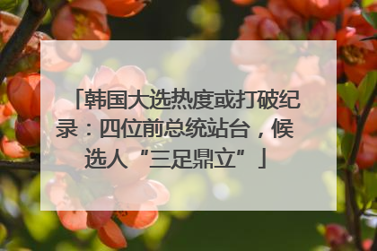 韩国大选热度或打破纪录：四位前总统站台，候选人“三足鼎立”
