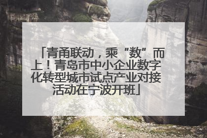 青甬联动，乘“数”而上！青岛市中小企业数字化转型城市试点产业对接活动在宁波开班