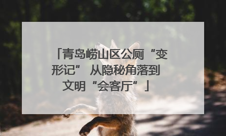 青岛崂山区公厕“变形记” 从隐秘角落到文明“会客厅”