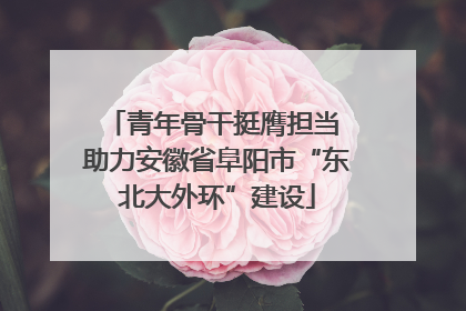 青年骨干挺膺担当 助力安徽省阜阳市“东北大外环”建设