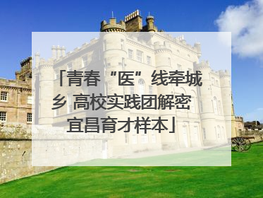 青春“医”线牵城乡 高校实践团解密宜昌育才样本