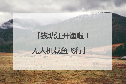 钱塘江开渔啦！无人机载鱼飞行