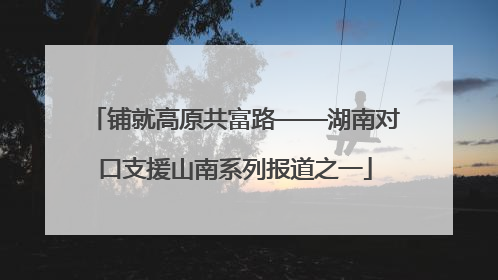 铺就高原共富路——湖南对口支援山南系列报道之一