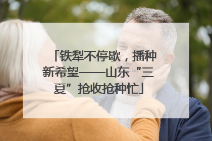 铁犁不停歇，播种新希望——山东“三夏”抢收抢种忙