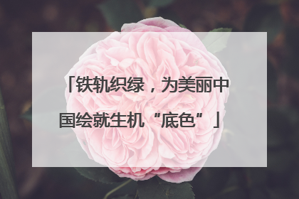 铁轨织绿,为美丽中国绘就生机“底色”