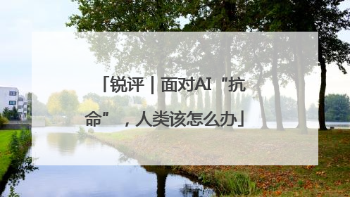锐评｜面对AI“抗命”，人类该怎么办