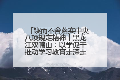 锲而不舍落实中央八项规定精神丨黑龙江双鸭山：以学促干推动学习教育走深走实 从小事入手写好“民生答卷”