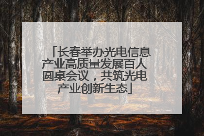 长春举办光电信息产业高质量发展百人圆桌会议，共筑光电产业创新生态