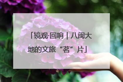 镜观·回响｜八闽大地的文旅“茗”片