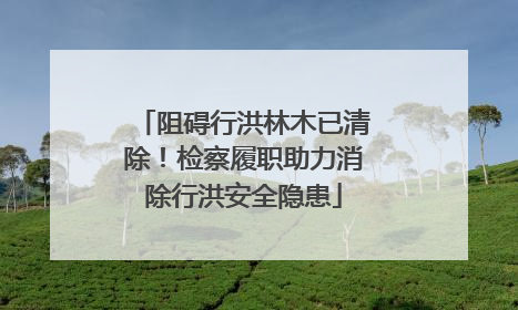 阻碍行洪林木已清除！检察履职助力消除行洪安全隐患