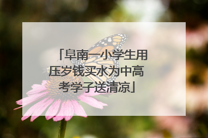 阜南一小学生用压岁钱买水为中高考学子送清凉