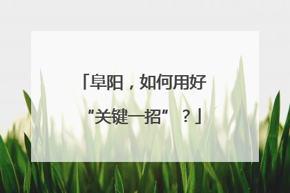 阜阳，如何用好“关键一招”？
