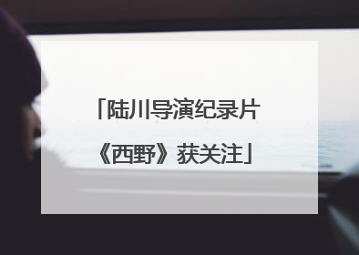 陆川导演纪录片《西野》获关注