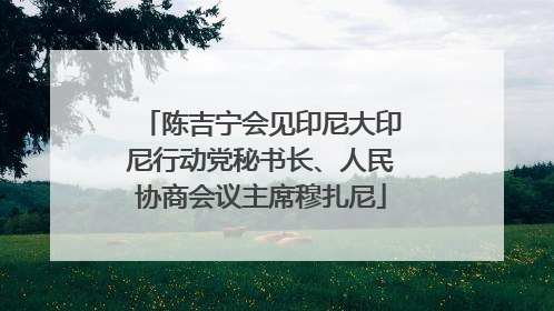 陈吉宁会见印尼大印尼行动党秘书长、人民协商会议主席穆扎尼