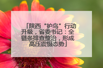 陕西“护鸟”行动升级，省委书记：全链条排查整治，形成高压震慑态势