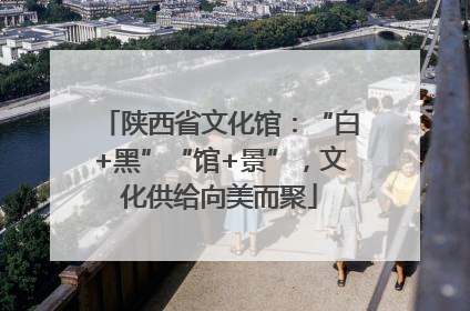 陕西省文化馆：“白+黑”“馆+景”，文化供给向美而聚