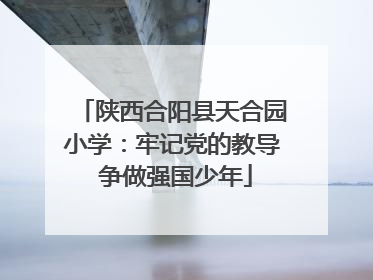 陕西合阳县天合园小学：牢记党的教导 争做强国少年