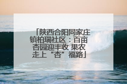 陕西合阳同家庄镇柏瑞社区：百亩杏园迎丰收 果农走上“杏”福路