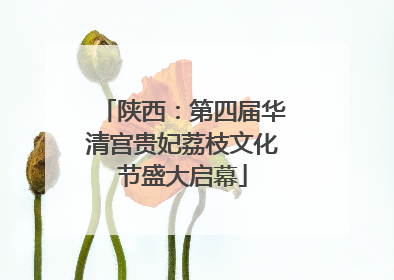 陕西：第四届华清宫贵妃荔枝文化节盛大启幕