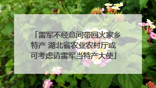 雷军不经意间带回火家乡特产 湖北省农业农村厅或可考虑请雷军当特产大使