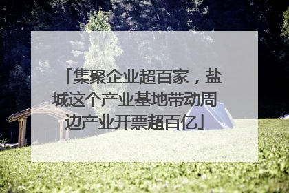 集聚企业超百家，盐城这个产业基地带动周边产业开票超百亿