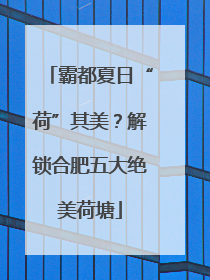 霸都夏日“荷”其美？解锁合肥五大绝美荷塘