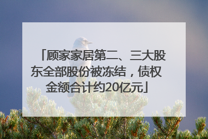 顾家家居第二、三大股东全部股份被冻结，债权金额合计约20亿元