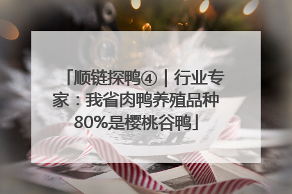 顺链探鸭④｜行业专家：我省肉鸭养殖品种80%是樱桃谷鸭