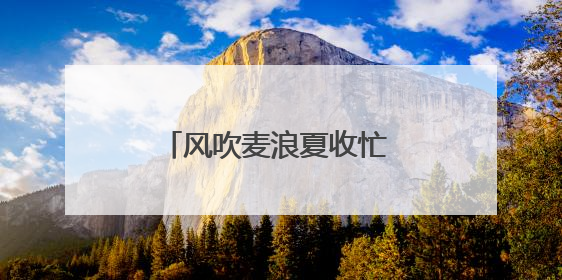 风吹麦浪夏收忙 河南老兵保粮仓