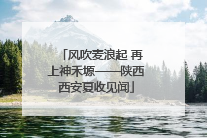 风吹麦浪起 再上神禾塬——陕西西安夏收见闻