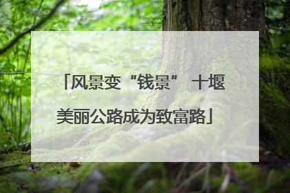 风景变“钱景” 十堰美丽公路成为致富路
