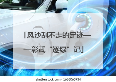 风沙刮不走的足迹——彰武“逐绿”记
