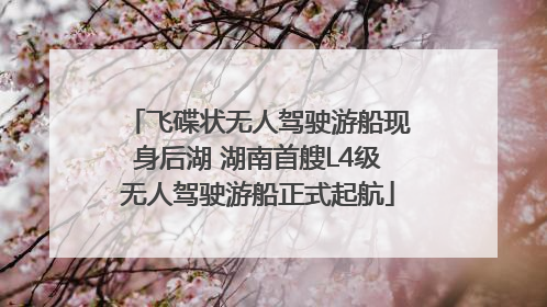 飞碟状无人驾驶游船现身后湖 湖南首艘L4级无人驾驶游船正式起航