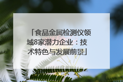 食品金属检测仪领域8家潜力企业：技术特色与发展前景