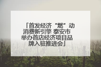 首发经济“燃”动消费新引擎 泰安市举办首店经济项目品牌入驻推进会