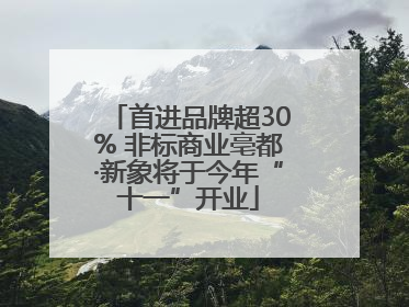 首进品牌超30% 非标商业亳都·新象将于今年“十一”开业