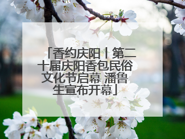 香约庆阳丨第二十届庆阳香包民俗文化节启幕 潘鲁生宣布开幕