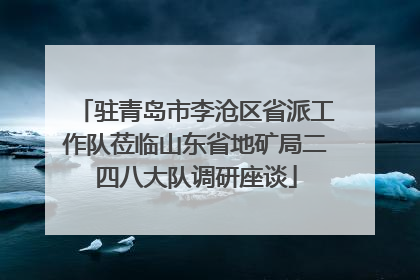 驻青岛市李沧区省派工作队莅临山东省地矿局二四八大队调研座谈